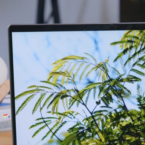 Máy tính Laptop HP ENVY X360 14-fa0097AU AY8U7PA Ryzen 5 8640HS