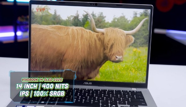 Laptop ASUS Vivobook 14 A1407CA-LY008WS TTP