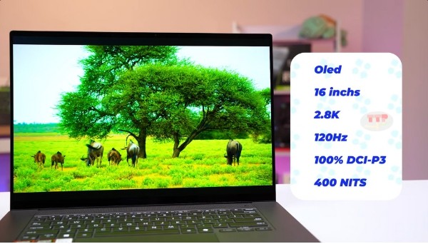 Laptop Asus Zenbook S 16 UM5606KA-RK113WS AMD TTP