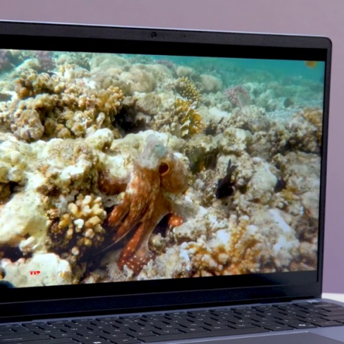 Laptop Dell Inspiron 14 5440 N4I5211W1