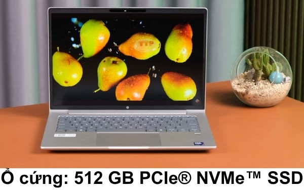 Laptop HP ProBook 440 G11 A74B9PT TTP