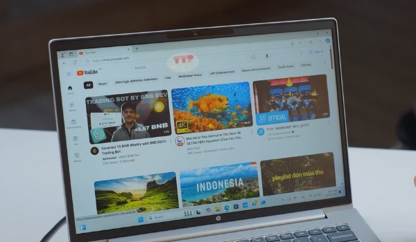 Laptop HP ProBook 440 G11 A74BLPA TTP