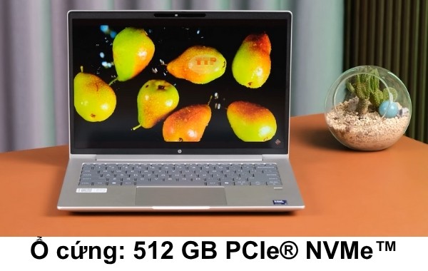 Laptop HP ProBook 445 G11 A8WR4PT TTP