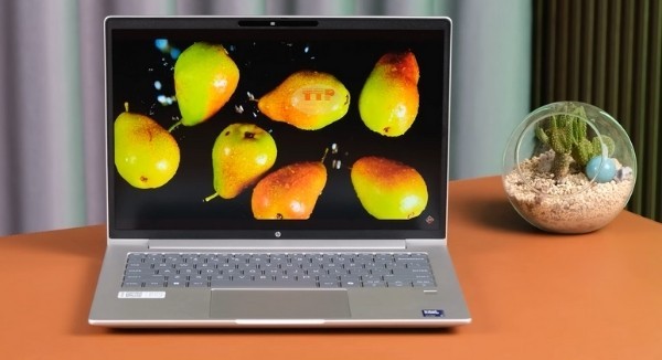 Laptop HP ProBook 445 G11 A8WR4PT TTP