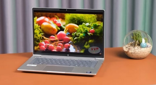 Laptop HP ProBook 445 G11 A8XG1PT TTP