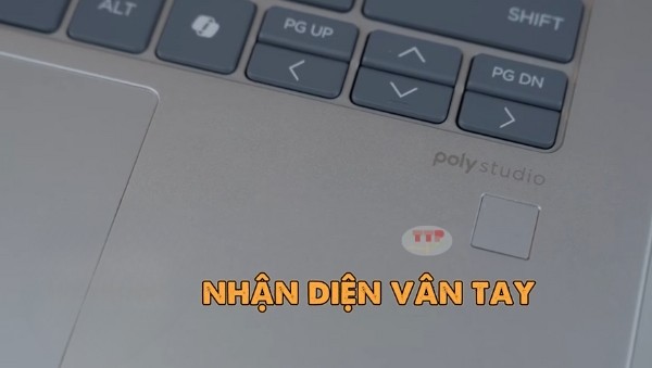 Laptop HP ProBook 445 G11 A8XG1PT TTP