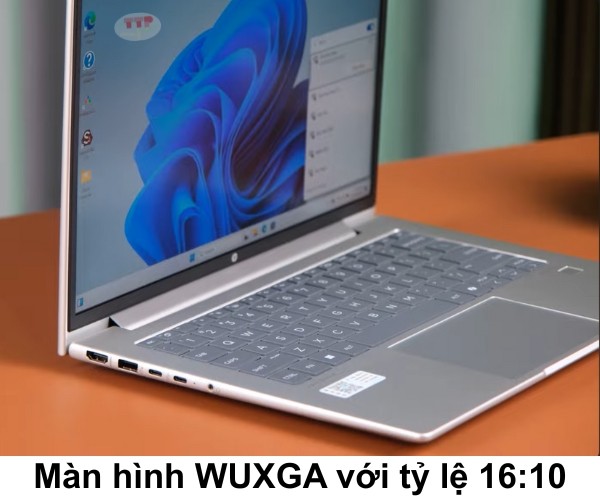 Laptop HP ProBook 445 G11 A8XG1PT TTP