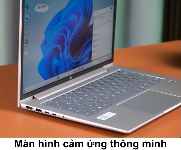 Laptop HP ProBook 445 G11 A8XG1PT TTP