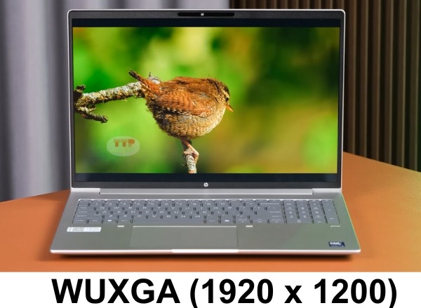 Laptop HP Probook 460 G11 A74BXPT TTP