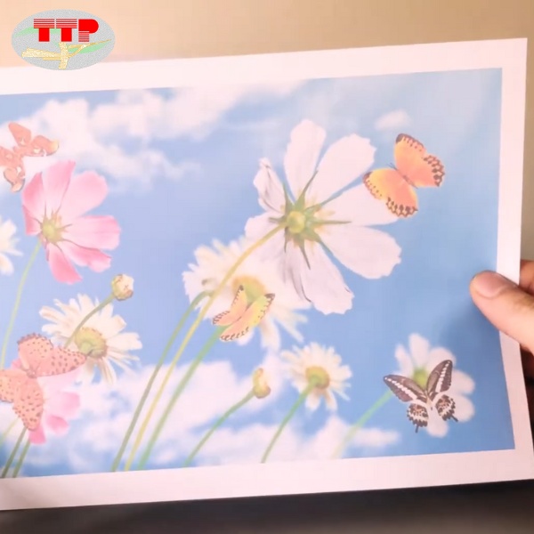 Hộp mực Canon PG-810 PGBK