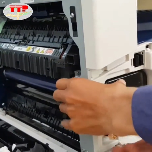 Cụm trống photocopy Fuji Xerox CT351075