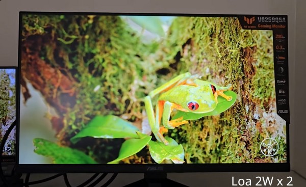Màn hình Asus TUF VG259Q5 24.5 inch TTP