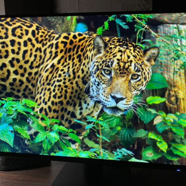 Màn hình Asus VA279HG