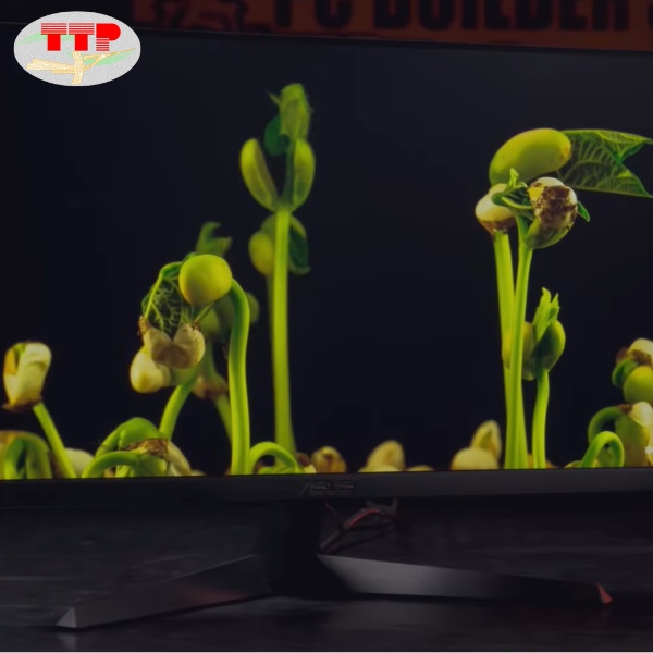 Màn hình ASUS VY249HGR