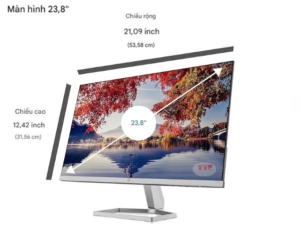 Màn hình HP M24F TTP