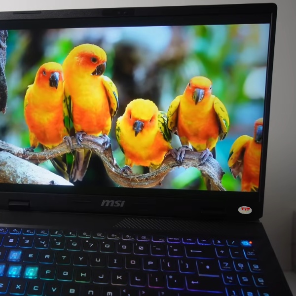 laptop MSI Pulse 17 AI C1VGKG 017VN