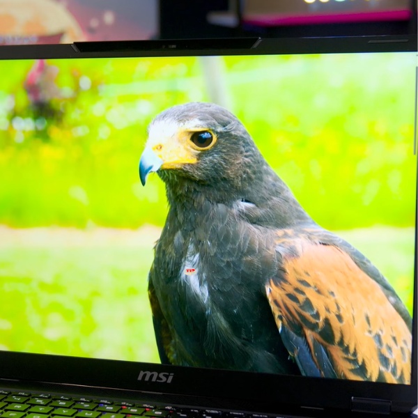 MSI Stealth 18 HX AI A2XWIG-017VN