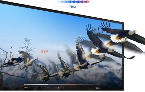 Màn hình Samsung LF24T370FWEXXV TTP