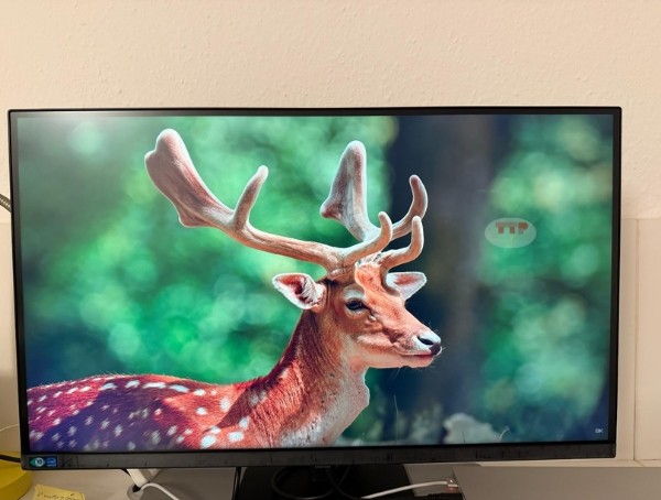 Màn hình Samsung LS32D604UAEXXV 32 inch TTP