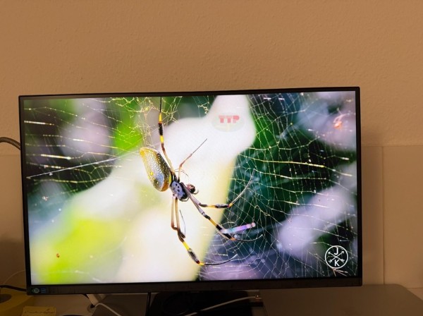 Màn hình Samsung LS32D604UAEXXV 32 inch TTP