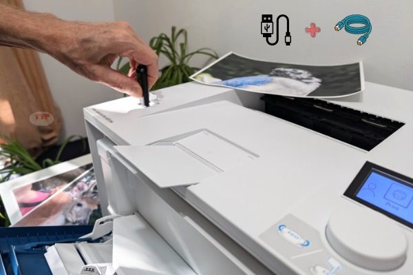 Máy in HP Color LaserJet Pro 4203DN TTP