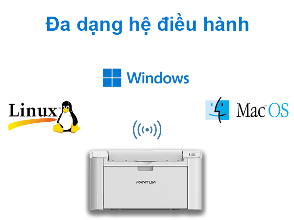 Máy in Pantum P2200W