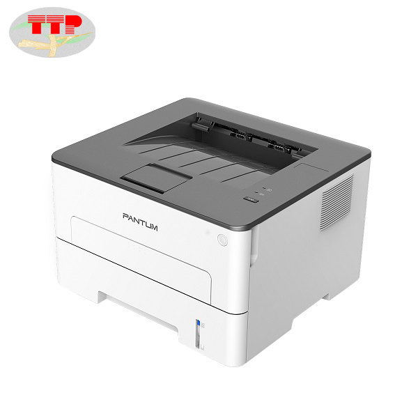 Máy in laser Pantum P3012D