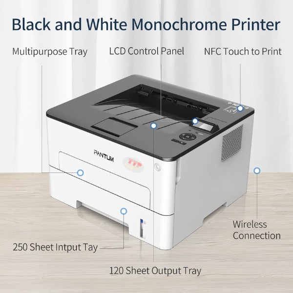 Máy in laser Pantum P3012Dw TTP