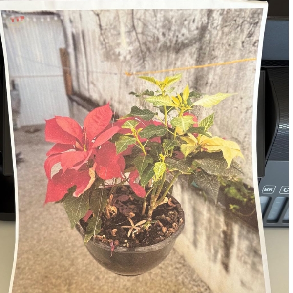 Máy in phun màu Epson Ecotank L5590 TTP