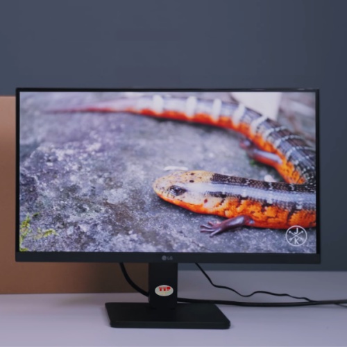 Màn hình LG 22MR410-B 21.45 inch