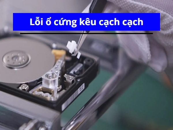 Lỗi ổ cứng kêu cạch cạch