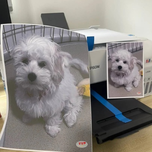 Máy in phun màu Epson EcoTank L3556