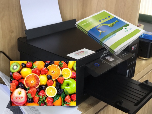 máy in màu epson loại nào tốt