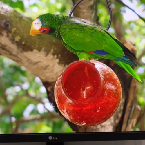 Màn hình LG 24QP500-B 23.8 inch