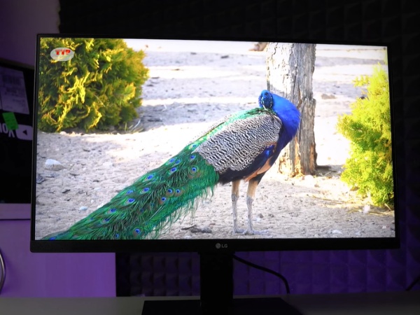 Tấm nền IPS là gì? Đánh giá công nghệ màn hình IPS