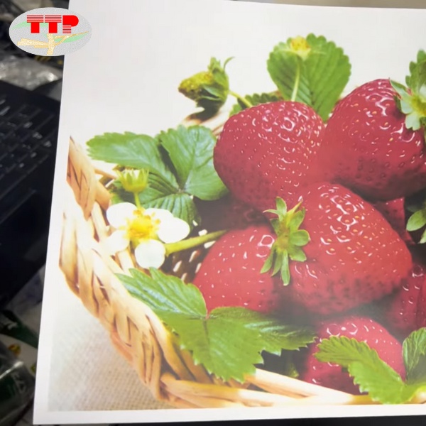 Drum Canon Cartridge 029