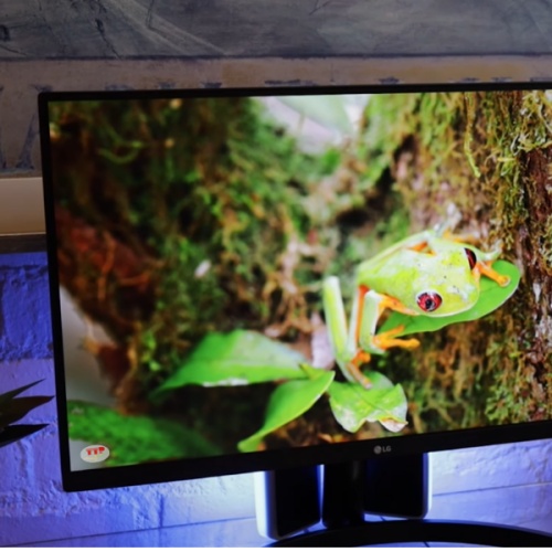 Màn hình LG 27QN600-B 27 inch