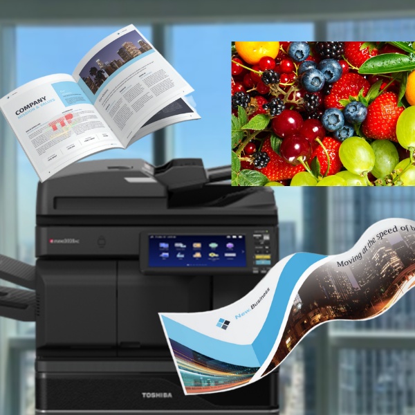 Máy photocopy Toshiba e-Studio 3025AC