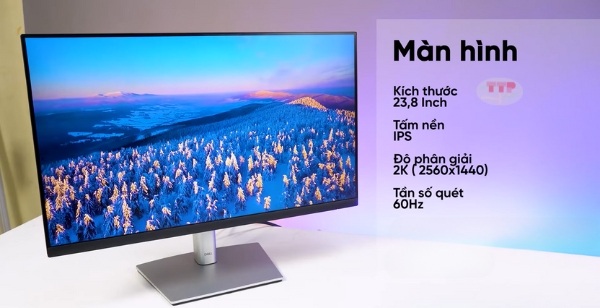 Màn hình Dell P2423D TTP