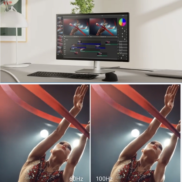 Màn hình Dell P2425H TTP