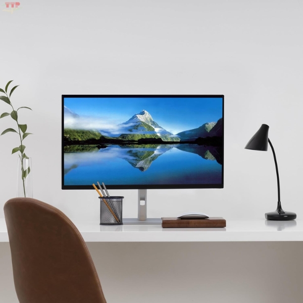 Màn hình Dell P2425H TTP