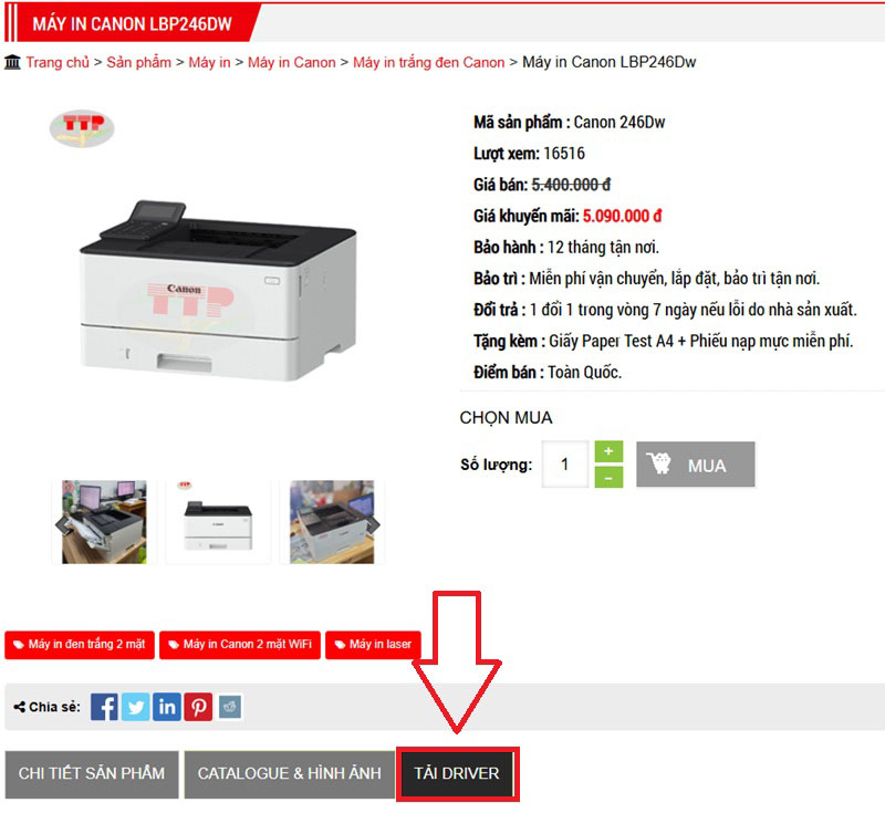 Tải Driver máy in Canon LBP 246Dw chi tiết TTP