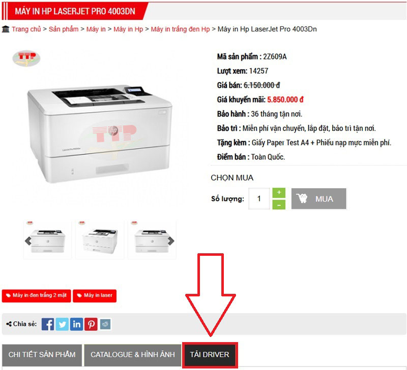 Hướng dẫn cài đặt Driver máy in HP 4003dn/m404dn