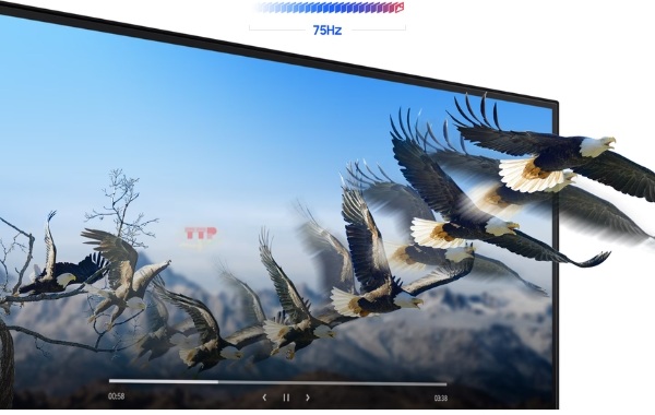 Màn hình Samsung LF22T370FWEXXV TTP