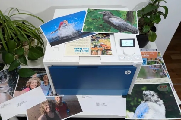 Máy in HP Color LaserJet Pro 4203DW TTP