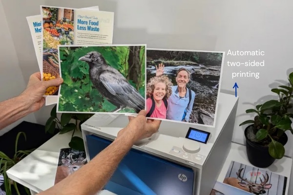 Máy in HP Color LaserJet Pro 4203DW TTP