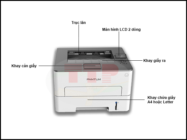 Máy in Laser Pantum P3300DN