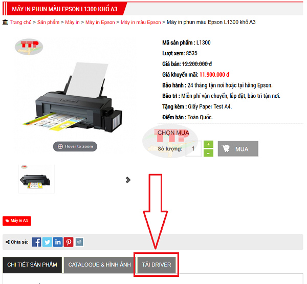 Tải Driver máy in Epson L1300 chi tiết