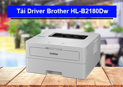 Tải Driver máy in Brother HL-B2180Dw chi tiết