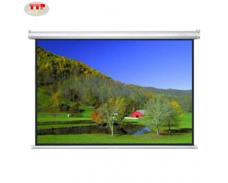 Màn chiếu treo tường Dalite 136 Inch